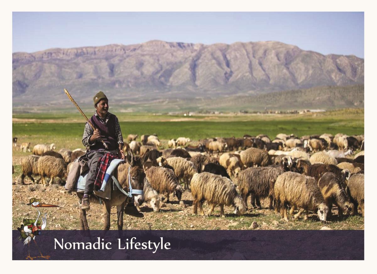 iran nomads