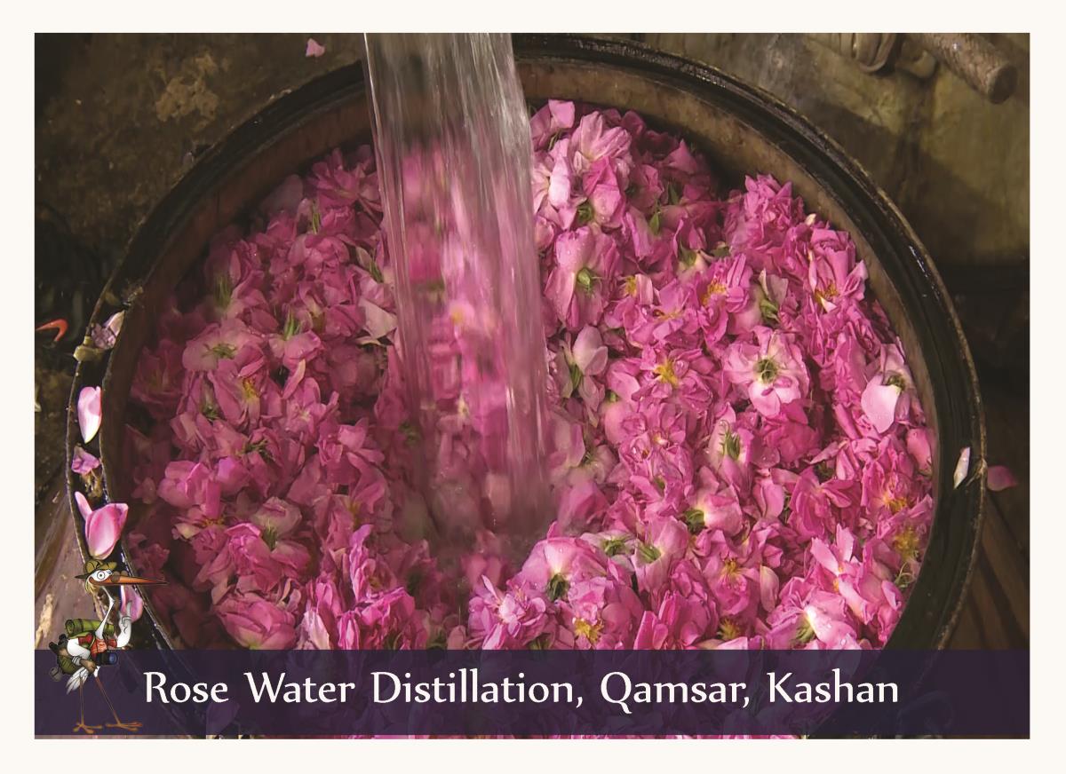 rose water 3