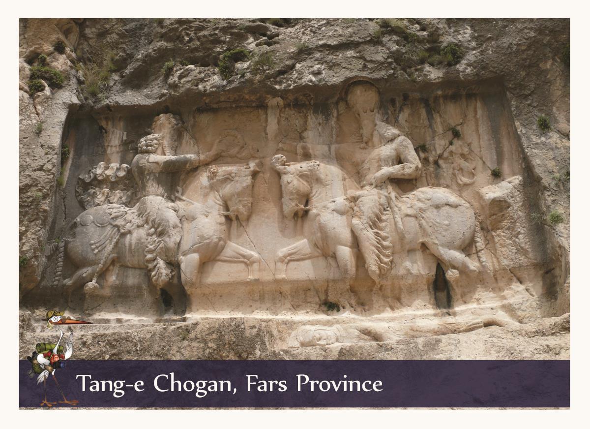 Tang chogan