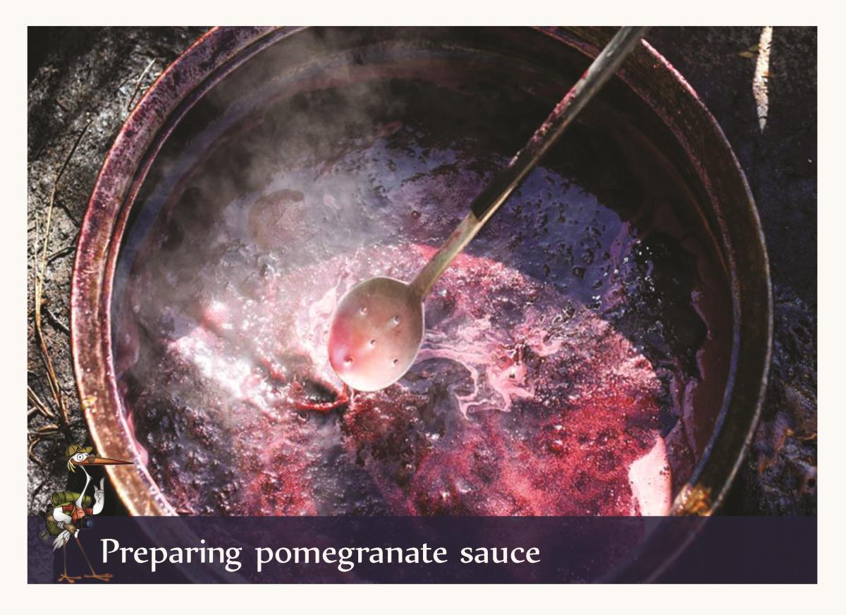 pomegranate sauce 1