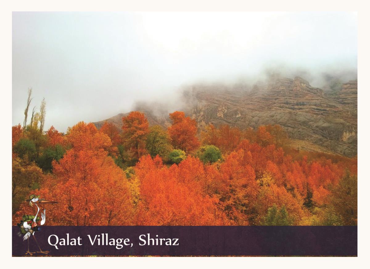 qalat village