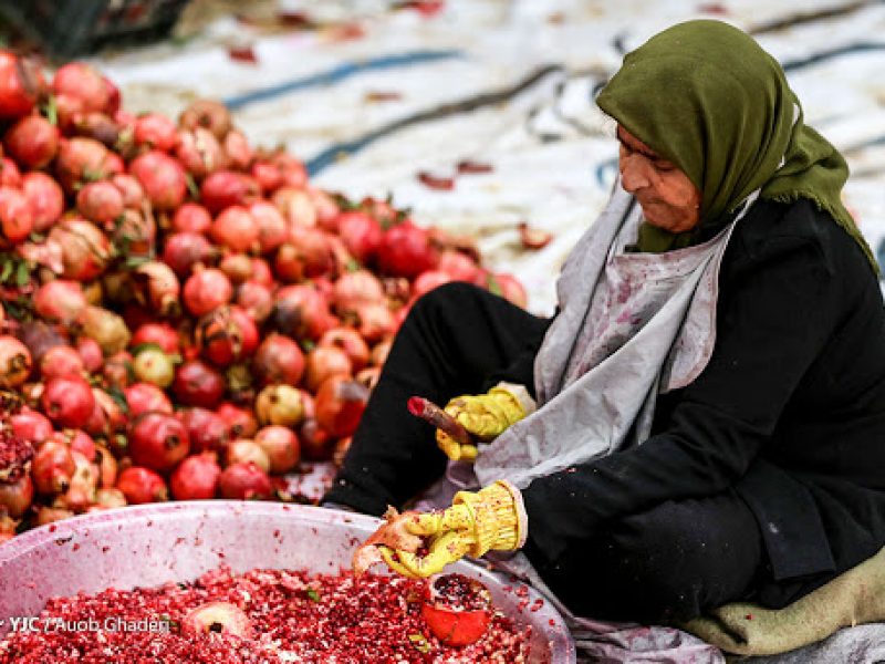 pomegranate festival